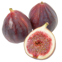 Fig, fruit realistic Illustration. Realistic Transparent file. Mockup template for artwork graphic design png