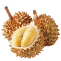 Durian, fruit realistic Illustration. Realistic Transparent file. Mockup template for artwork graphic design png