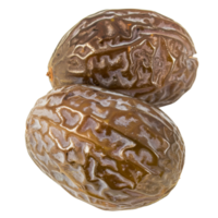 Dry Date, fruit realistic Illustration. Realistic Transparent file. Mockup template for artwork graphic design png