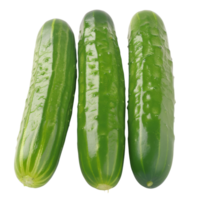 Cucumber, fruit realistic Illustration. Realistic Transparent file. Mockup template for artwork graphic design png