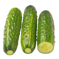 Cucumber, fruit realistic Illustration. Realistic Transparent file. Mockup template for artwork graphic design png