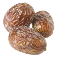 Dry Date, fruit realistic Illustration. Realistic Transparent file. Mockup template for artwork graphic design png