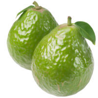 Guava, fruit realistic Illustration. Realistic Transparent file. Mockup template for artwork graphic design png