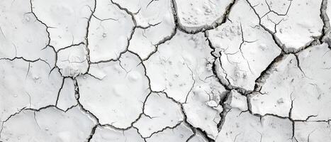 Close-up of cracked white surface showcasing intricate textures and patterns, perfect for backgrounds and abstract designs. photo