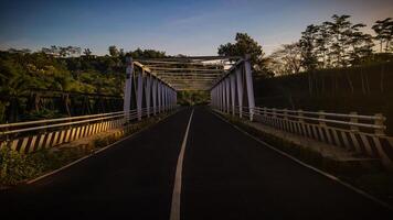 A bridge in the forest with blue sky photo