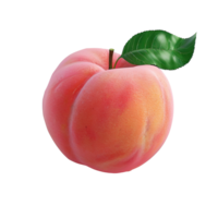 Scrumptious peach in full bloom with a luscious green leaf png