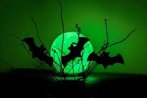Cutout bats attached to branches against a moon photo