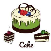 Whole cake and pieces with chocolate and berry decorations. Doodle hand drawn set of cake, brownie vector