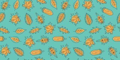 Set autumn leaves and acorn. Leaf fall pattern, natural linear icons. Autumn season. Drawing, doodles, seamless background. vector