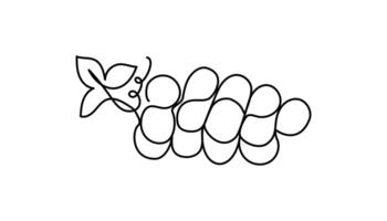Grape. Drawing, linear icon. Berries, juicy summer fruit. Line art, black and white. Background isolated. vector