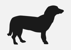 Dachshund dog side view. isolated on white background. pet, cute, animal. silhouette illustration. vector