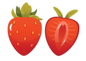 Set of fresh bright strawberries whole, half of strawberry and cut into slices. Isolated on white background.Cartoon style. vector