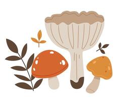 Autumn mushrooms set. Forest Mushrooms with Stem and Cap Isolated on White Background Set. vector