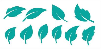 Green leaf icons set. Leaves icon on isolated background. Collection green leaf. Elements design for natural, eco, vegan, bio labels. Leaves simple illustration vector