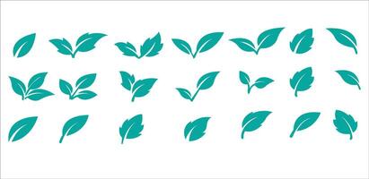 Green leaf icons set. Leaves icon on isolated background. Collection green leaf. Elements design for natural, eco, vegan, bio labels. Leaves simple illustration vector