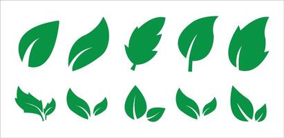 Green leaf icons set. Leaves icon on isolated background. Collection green leaf. Elements design for natural, eco, vegan, bio labels. Leaves simple illustration vector