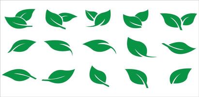 Green leaf icons set. Leaves icon on isolated background. Collection green leaf. Elements design for natural, eco, vegan, bio labels. Leaves simple illustration vector
