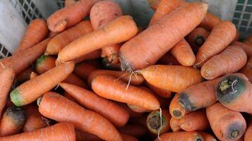 Carrots in containers are sold at the market photo