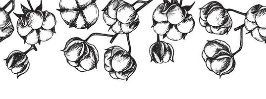 seamless border of cotton branches. cotton bolls, frame in sketch style, vintage vector