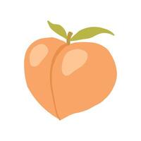 Illustration of a fresh peach with leaves, depicting a simple and vibrant summer fruit on white vector