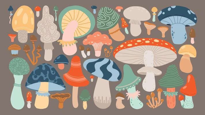 a-colorful-illustration-of-