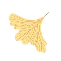 Yellow ginkgo leaf illustration with detailed veins on a white background. Simple and elegant design vector