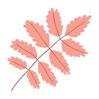 A simple illustration of a pink autumn leaf with multiple leaflets, connected by a central stem. The design features clean lines and a minimalist style, perfect for seasonal decorations or botanical vector