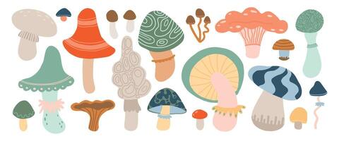 Whimsical mushroom illustrations in various colors and shapes on a white background, cartoon art vector