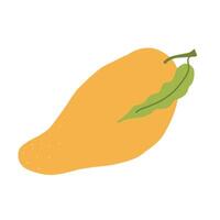 Yellow mango illustration with green leaf, flat design, isolated on white background vector