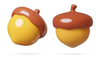 Acorn 3d realistic icons cute minimal autumn design elements isolated on white vector