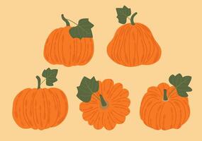 Hand-drawn pumpkin element collection, autumn element selection vector