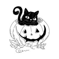 of a cat in a pumpkin for Halloween handraw. vector
