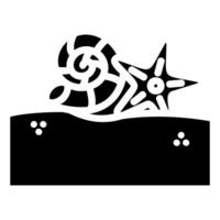 Seashells and Starfish on the Sand vector