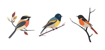 Set of flat illustration of a single bird perched on a branch on white background vector