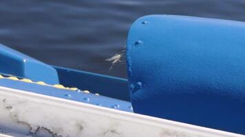 A close-up shot of spider webs on a blue painted metal part of a speedboat, highlighting the intricate details and textures of the component and webs video