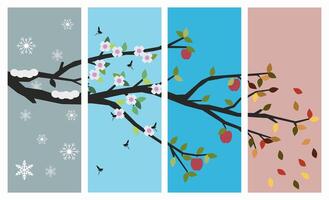 Apple tree branch parallel to the four seasons of the year. Seasons of the year in illustration. vector