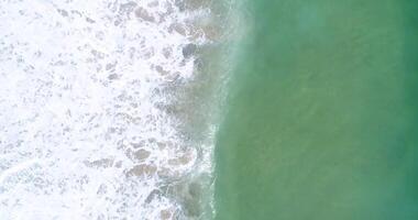 directly above aerial view with drone of the waves of the sea on the shore of a beach, summer seascape for holidays video