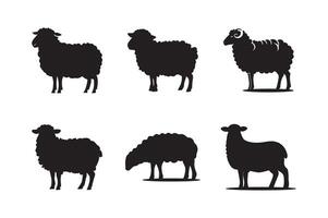 Set of silhouettes of sheep. Sheep Standing Silhouette or file white background vector