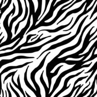 Zebra print pattern. Zebra skin texture background. vector