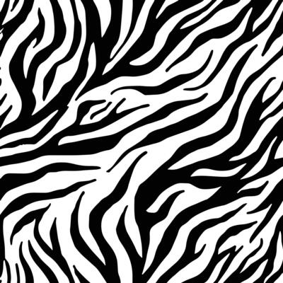 Zebra print pattern. Zebra skin texture background.