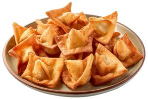 Jiaozi Food Clipart - A plate of crispy Wonton isolated illustration on a transparent background png