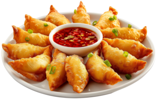 A plate of fried jiaozi with Spicy Sauce isolated illustration on a transparent background png