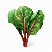 Chard isolated on white background photo