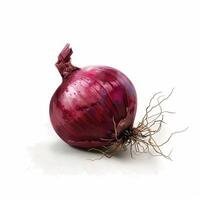 Red onion isolated on white background photo
