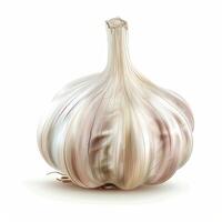Garlic isolated on white background photo