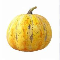 Pumpkin isolated on white background photo
