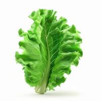 Spinach isolated on white background photo