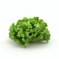 Lettuce isolated on white background photo