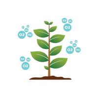 Fresh trees that produce oxygen. vector