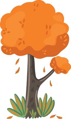 autumn tree with orange foliage isolated on white background